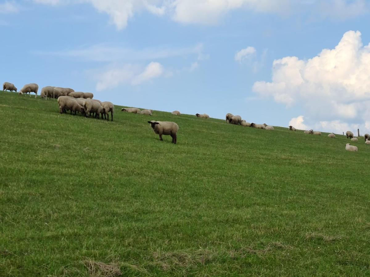 Watt'N Blick - Hundefreundliches Ferienhaus Mit Ausblick Ueber Die Wiesen Bis Zum Deich Schweiburg المظهر الخارجي الصورة